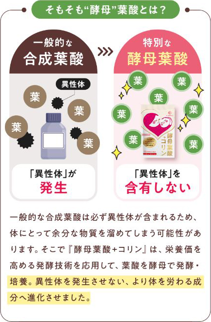 一般的な合成葉酸には異性がいが発生する